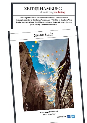 Veröfftlichung im ZEIT Newsletter: Elbvertiefung