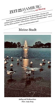 Veröfftlichung im ZEIT Newsletter: Elbvertiefung