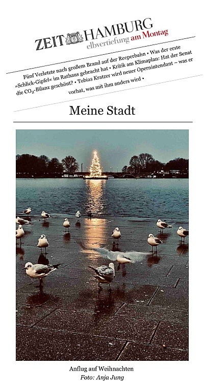 Veröfftlichung im ZEIT Newsletter: Elbvertiefung