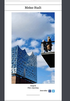 Veröfftlichung im ZEIT Newsletter: Elbvertiefung