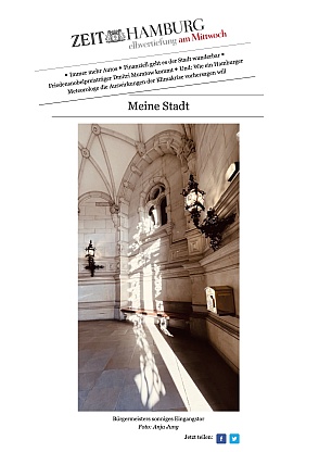 Veröfftlichung im ZEIT Newsletter: Elbvertiefung