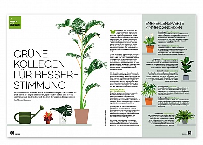 Grüne Kollegen, Reise vor 9 Magazin