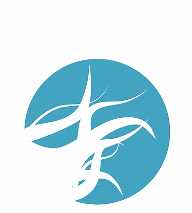 Elbhaar, Friseurin Alariye Cakir